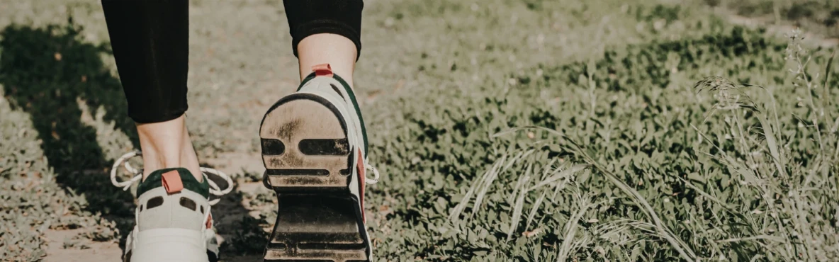 William Green Park: Walking Trails & Playground Fun