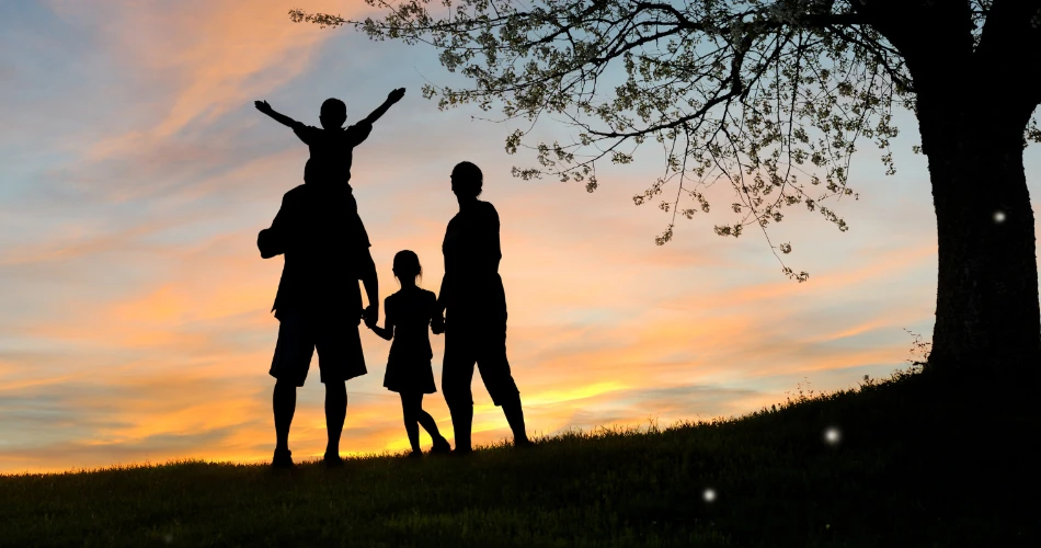Things to Do in Lawndale, United States: Food, Festivals, Outdoor Fun & Nightlife