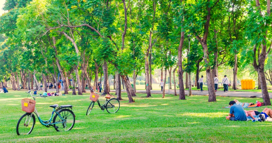 Exploring Lawndale with Family: Outdoor Activities, Festivals & Dining